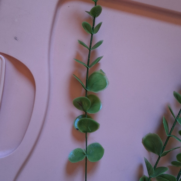 Artifical eucalyptus. - Picture 3 of 4